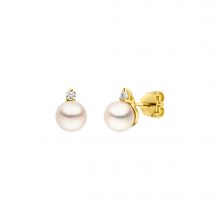 Gelbgold Perlohrstecker mit Diamant von Kollektion Fridrich bei Juwelier Fridrich in München